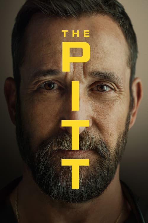 Copertina di The Pitt