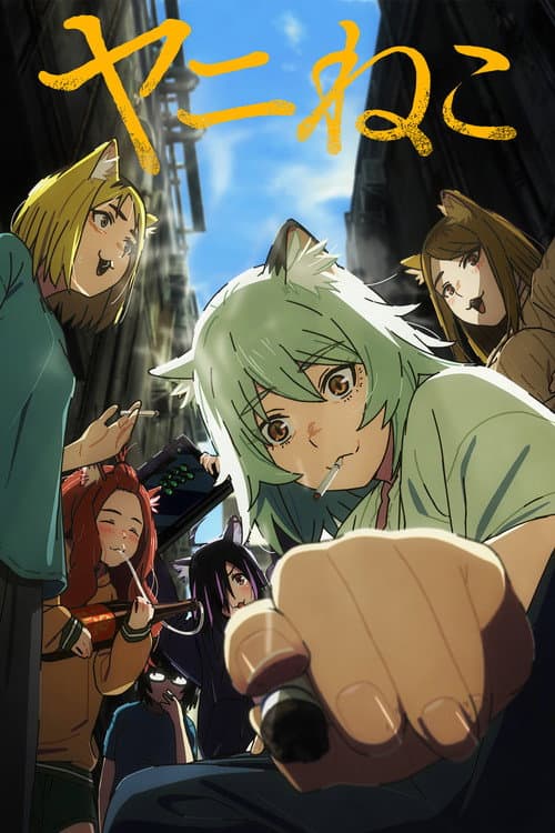 Copertina di Chainsmoker Cat